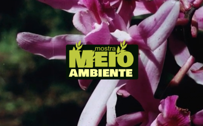 Em cartaz!